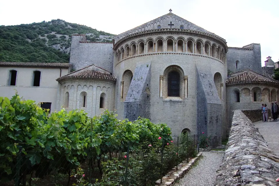 Chevet roman en pierre de l'abbaye de Gellone à Saint-Guilhem-le-Désert, avec ses absides arrondies, derrière une treille